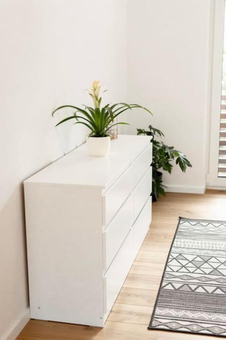 Aura Apartments Zirovnica Екстериор снимка