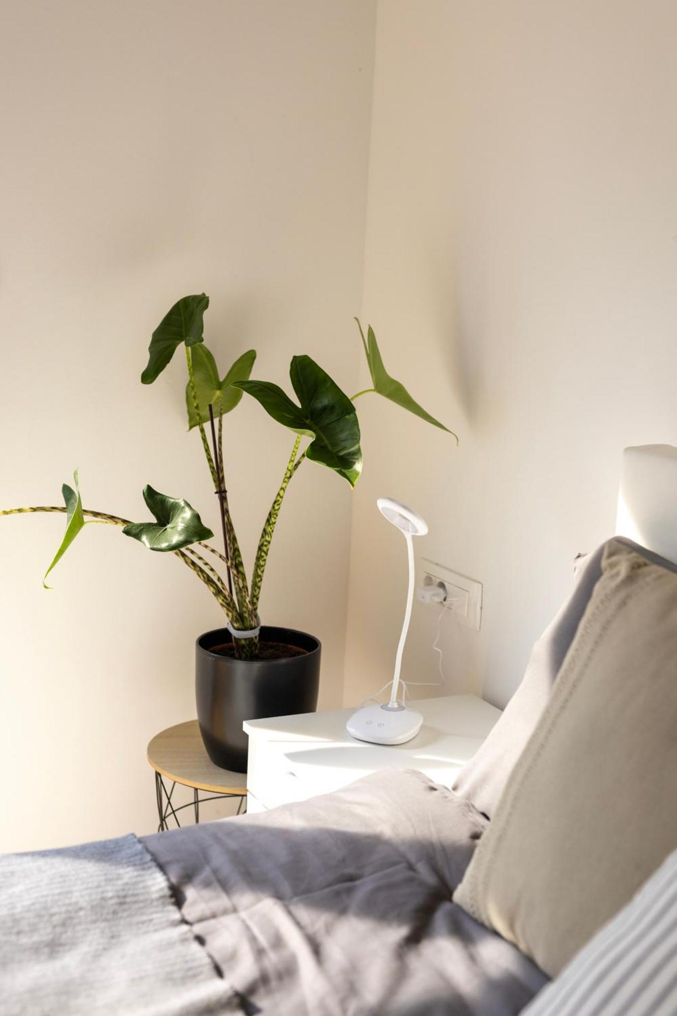 Aura Apartments Zirovnica Екстериор снимка